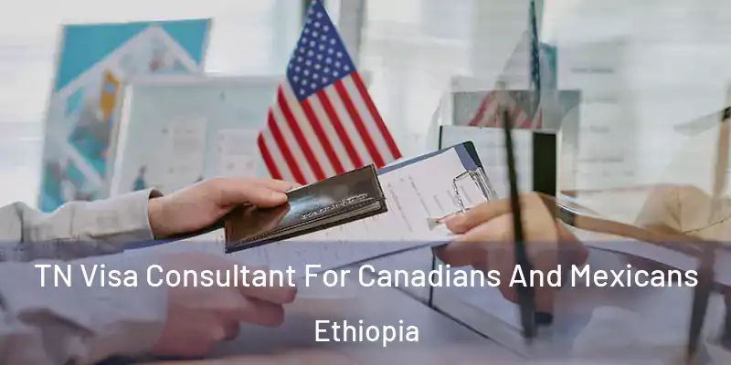 TN Visa Consultant For Canadians And Mexicans Ethiopia